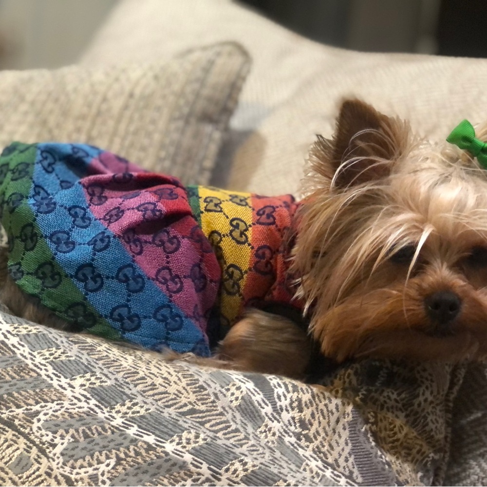 Beautiful inspired G doggy coat.  Message size - Picture 5 of 8